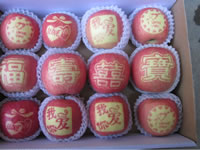 辰时果贴实拍