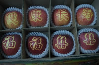 辰时果贴实拍