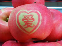 辰时果贴实拍