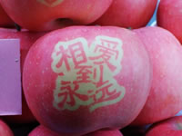辰时果贴实拍