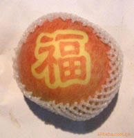 辰时果贴实拍