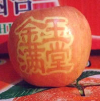 辰时果贴实拍