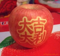 辰时果贴实拍