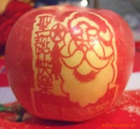 辰时果贴实拍