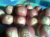 辰时果贴实拍