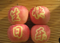 辰时果贴实拍