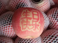 辰时果贴实拍