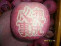 辰时果贴实拍