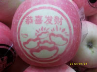 辰时果贴实拍