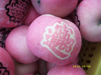 辰时果贴实拍