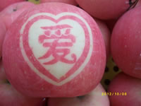 辰时果贴实拍