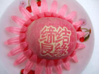 辰时果贴实拍