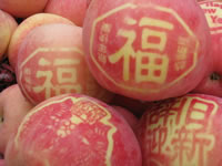 辰时果贴实拍