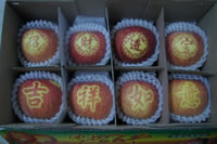 辰时果贴实拍