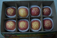 辰时果贴实拍