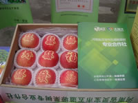 辰时果贴实拍