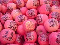 辰时果贴实拍