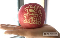 辰时果贴实拍
