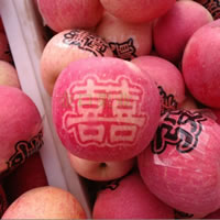 辰时果贴实拍