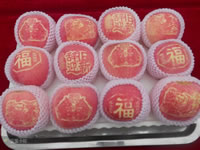 辰时果贴实拍