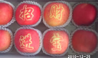 辰时果贴实拍