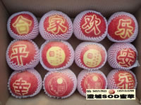 辰时果贴实拍