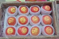 辰时果贴实拍