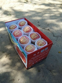 辰时果贴实拍