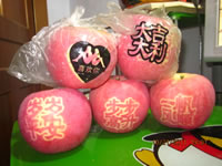 辰时果贴实拍