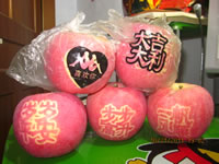 辰时果贴实拍