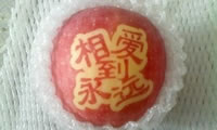 辰时果贴实拍
