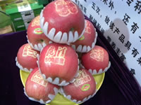 辰时果贴实拍