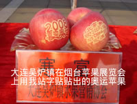 辰时果贴实拍