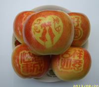 辰时果贴实拍