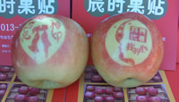 辰时果贴实拍