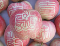 辰时果贴实拍