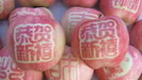 辰时果贴实拍