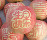 辰时果贴实拍