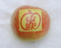 辰时果贴实拍