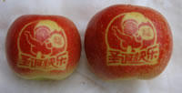 辰时果贴实拍