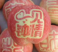 辰时果贴实拍