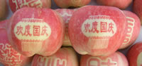 辰时果贴实拍