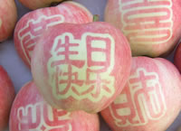 辰时果贴实拍