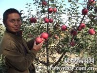 辰时果贴实拍