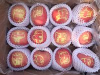 辰时果贴实拍