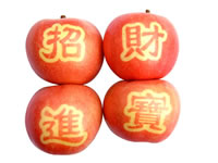 辰时果贴实拍