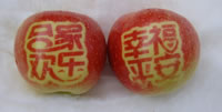辰时果贴实拍
