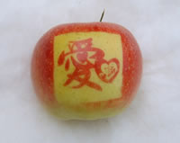 辰时果贴实拍