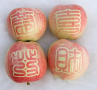 辰时果贴实拍