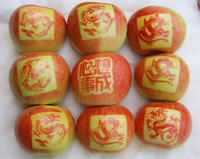 辰时果贴实拍